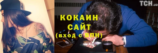 гидра Осинники