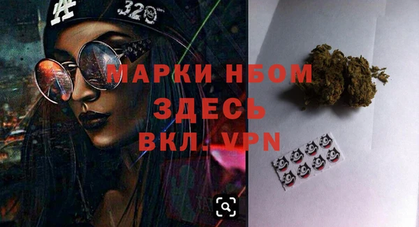 гидра Осинники
