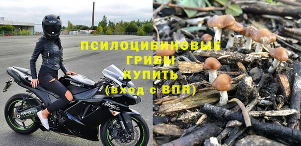 гашик Остров